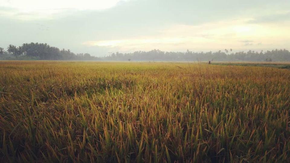 Seri Pengkalan Homestay Bachok Esterno foto