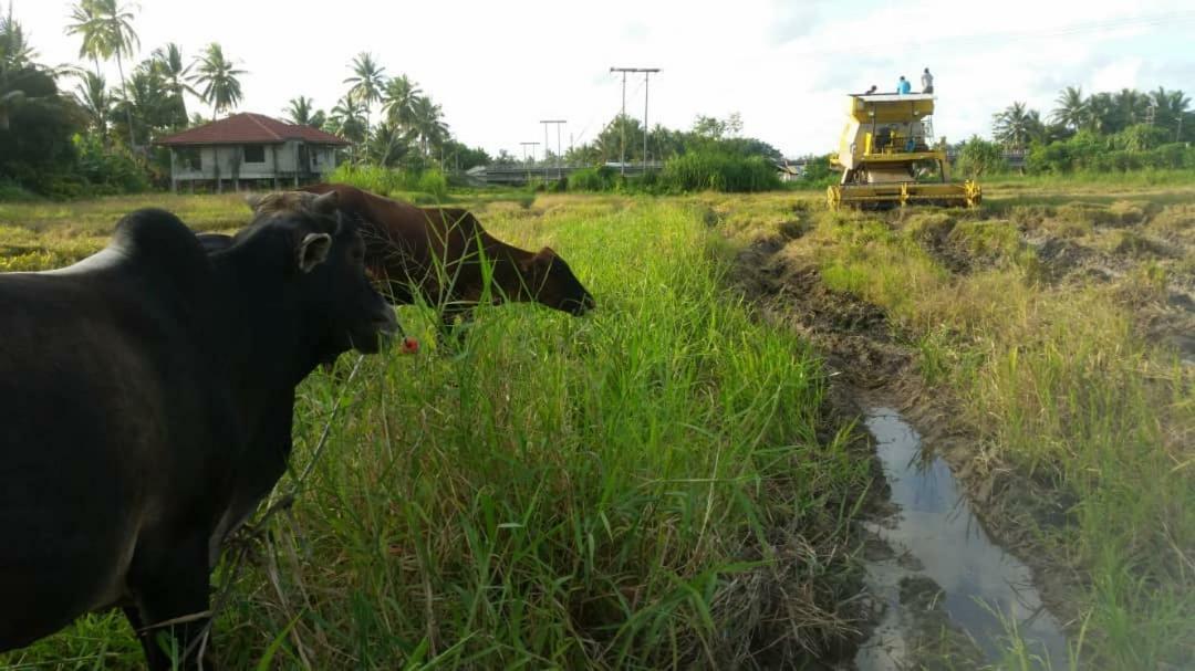 Seri Pengkalan Homestay Bachok Esterno foto